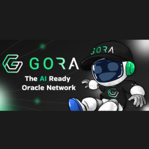 Mpango wa Balozi Gora Network Mini