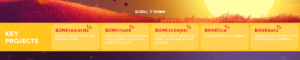 Bonk key projects