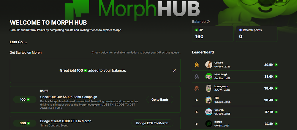 Morph hub dashboard