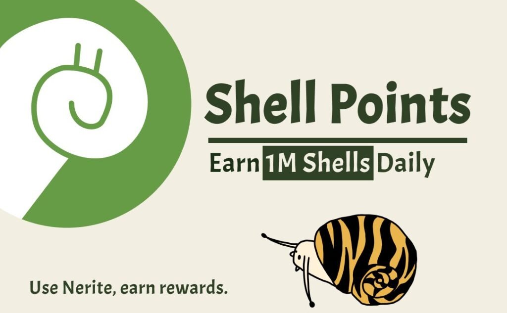 Nerite shell points
