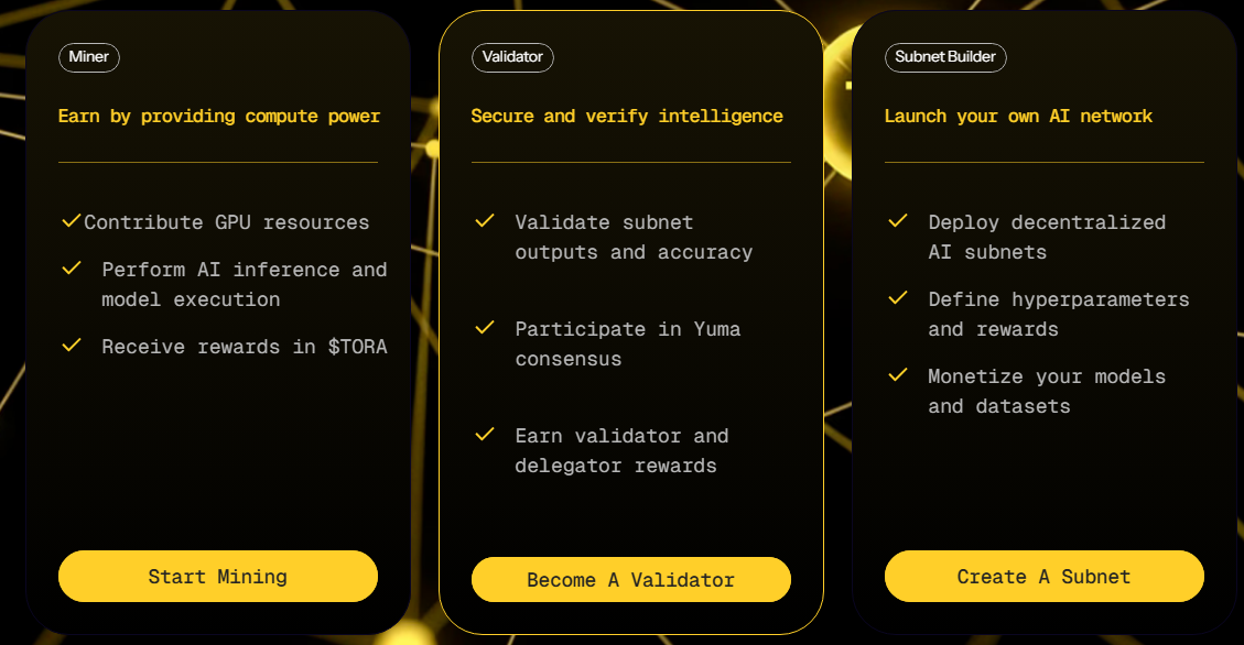 Tensora participation