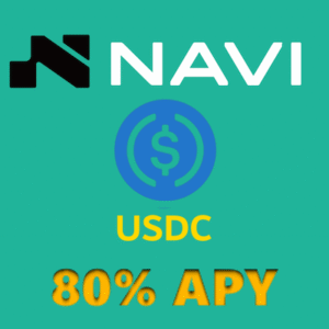 Navi usdc