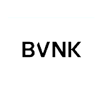 Bvnk logo